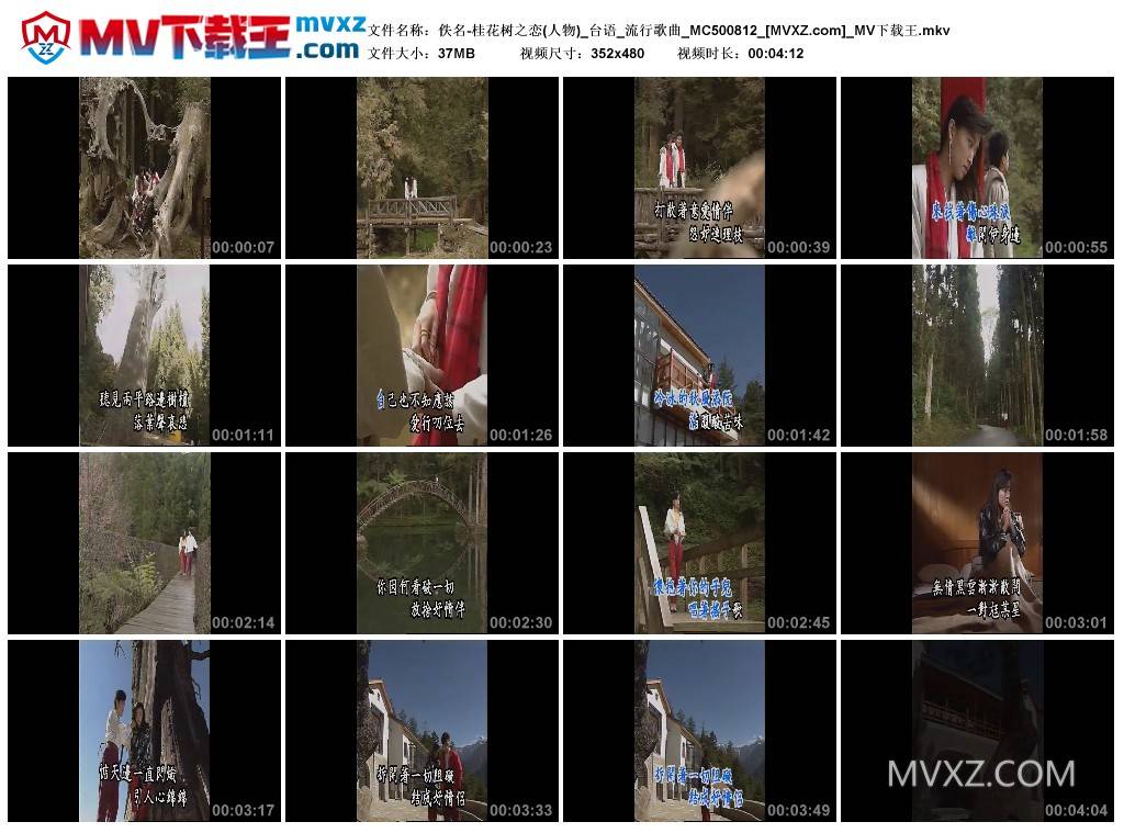 佚名-桂花树之恋(人物)_台语_流行歌曲_MC500812